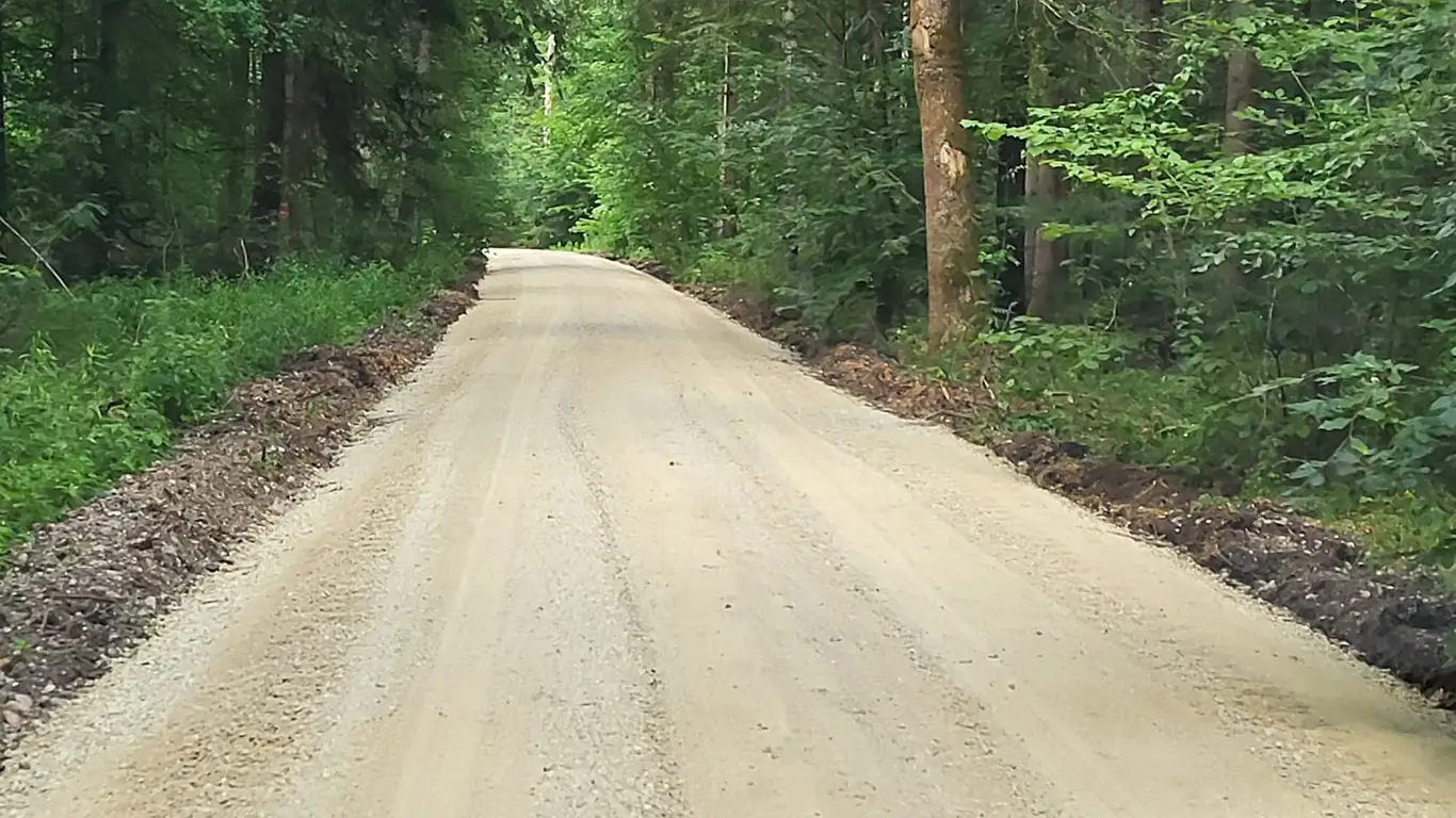 Fertig profilierter Waldweg nach Wegebauarbeiten
